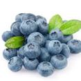 Blueberry Extract