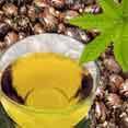 Castor Oil