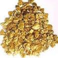 Gold Leaves