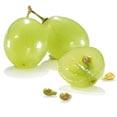Grape Seed Extract