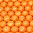 Mandarin Extract