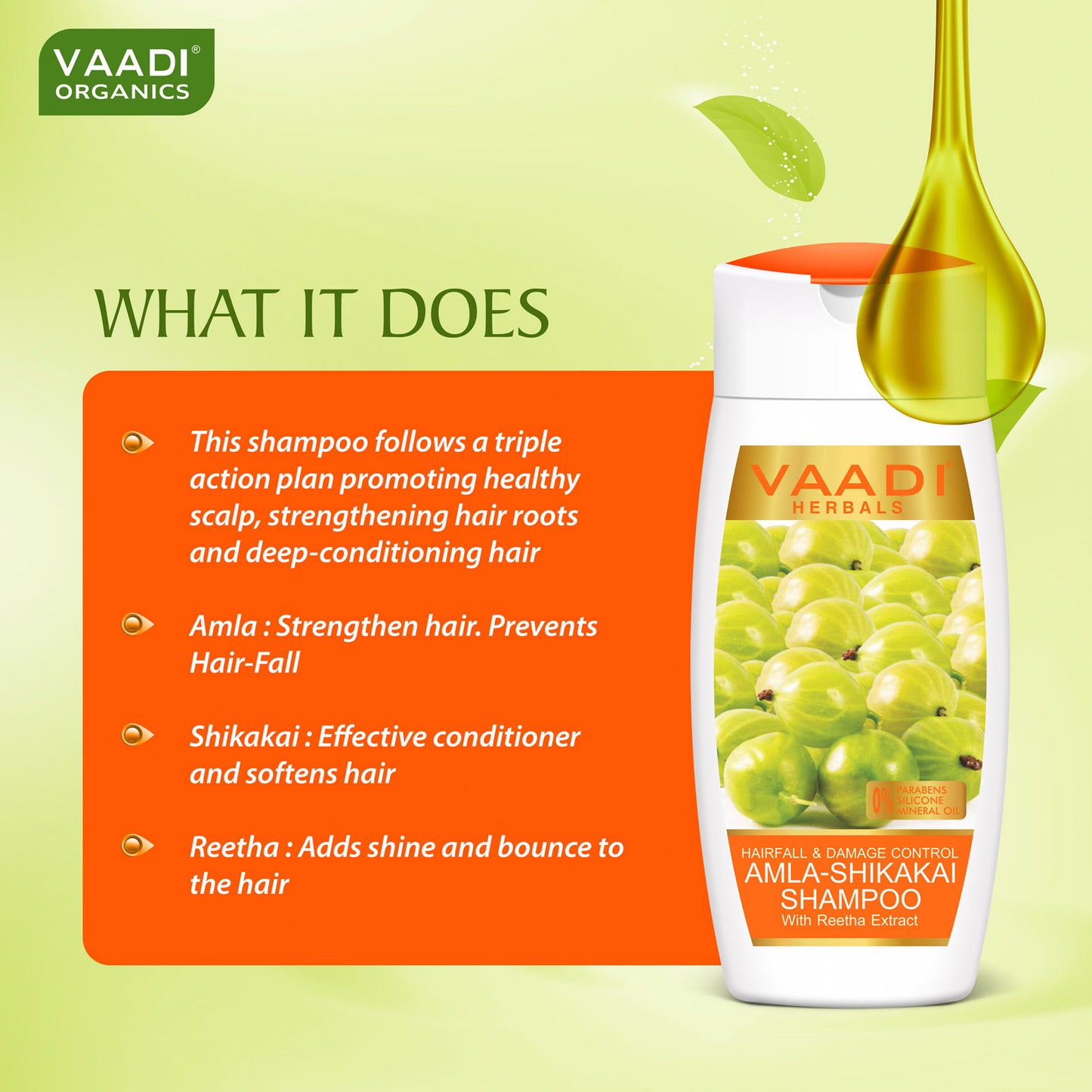 Hairfall & Damage Control Organic Shampoo (Indian Gooseberry Extract) - Promotes Hair Growth - Adds Shine to Hair (110 ml/4 fl oz)