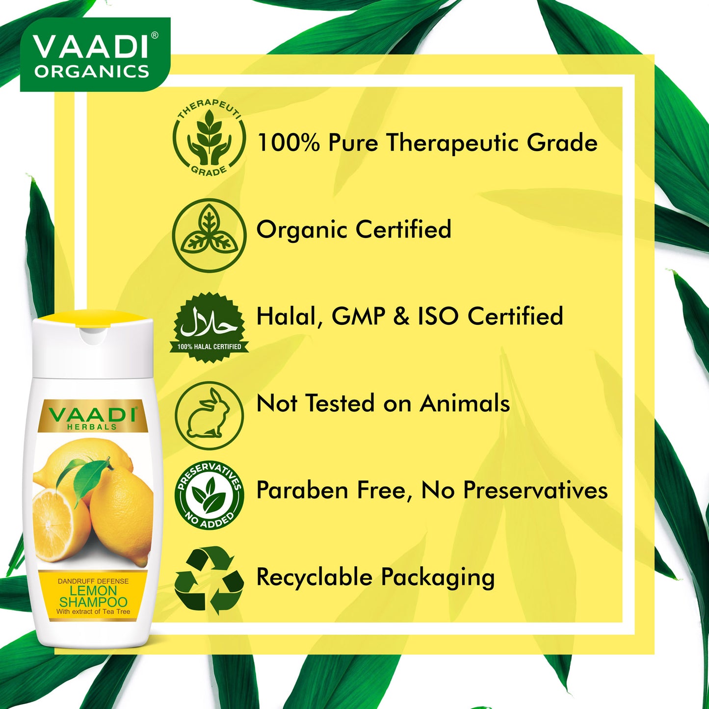 Dandruff Defense Organic Lemon Shampoo with Tea Tree Extract - Ultra Nutrient Rich Corn Rose Conditioner (2 x 110 ml/4 fl oz)