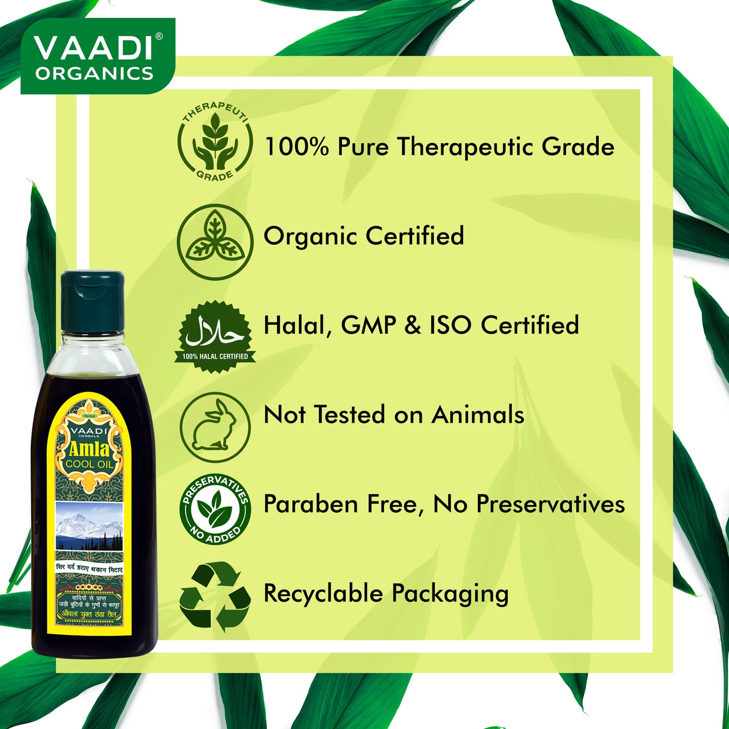 Organic Brahmi Amla Cool Oil - Strengthens and Nourishes Hair - Relieves Stress - Promotes Sound Sleep (200ml/7 fl oz) (Buy 1 Get 1 Free)