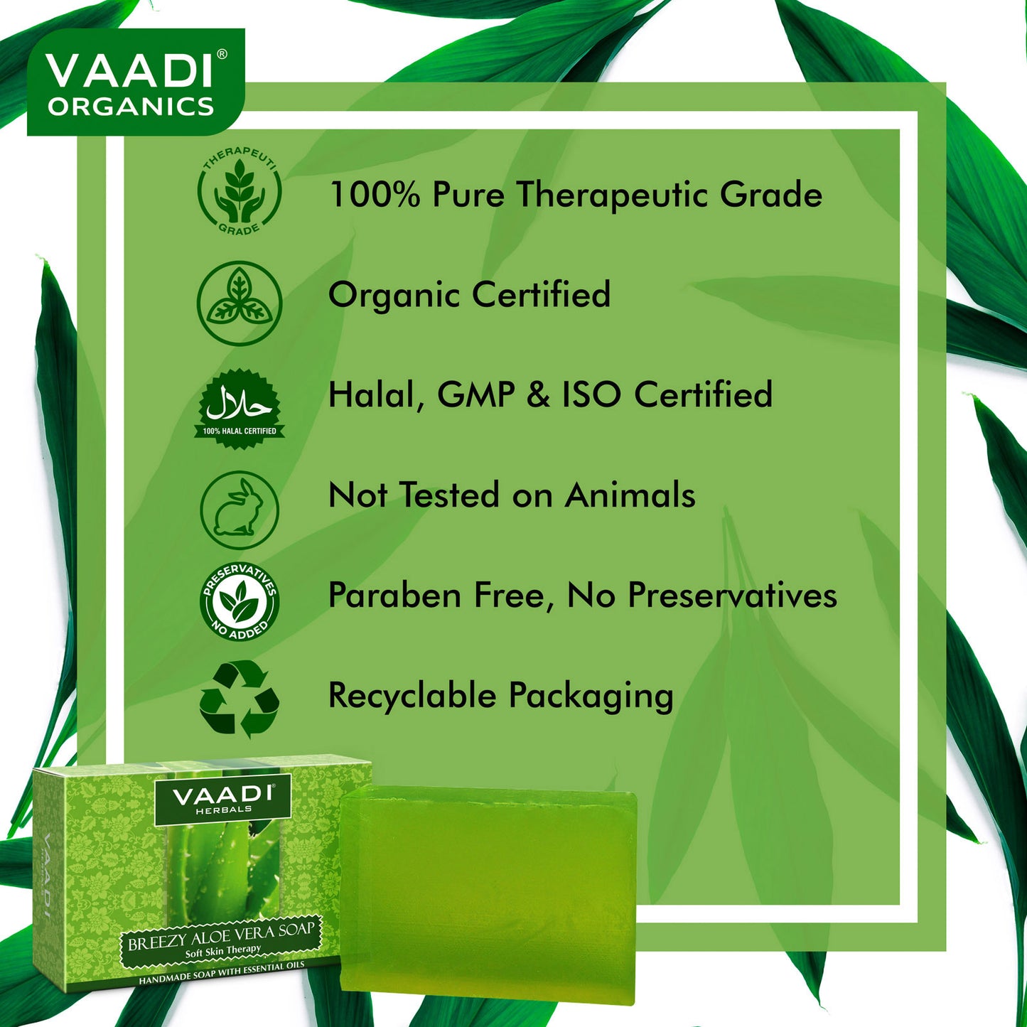 Breezy Organic Aloe Vera Soap with Honey - Anti Infective Therapy - Cleanses & Soothes Skin (12 x 75 gms / 2.7 oz)