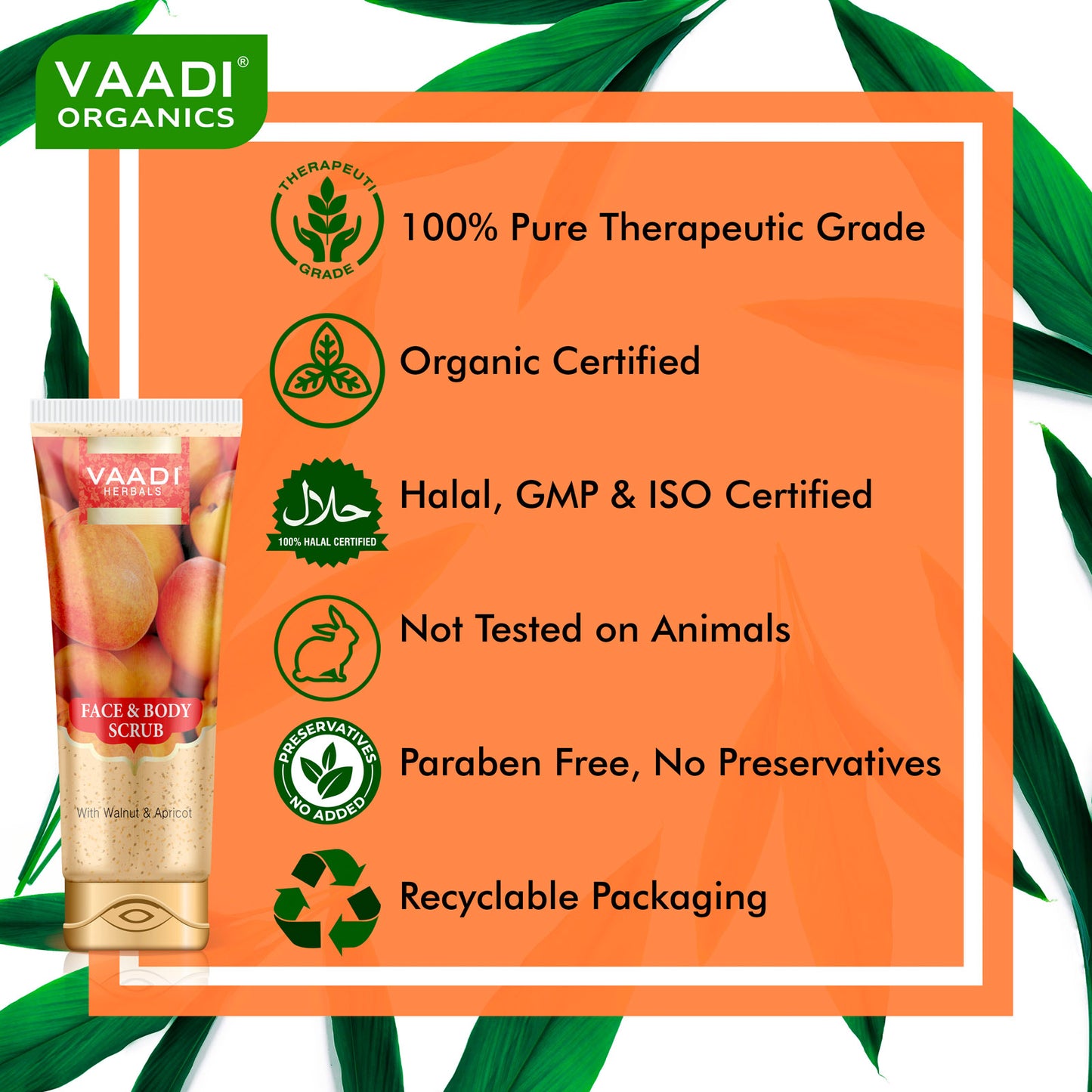 Organic Face & Body Scrub with Walnut & Apricot - Exfoliates & Unclogs Pores - Keeps Skin Youthful (110 gms / 4 oz)