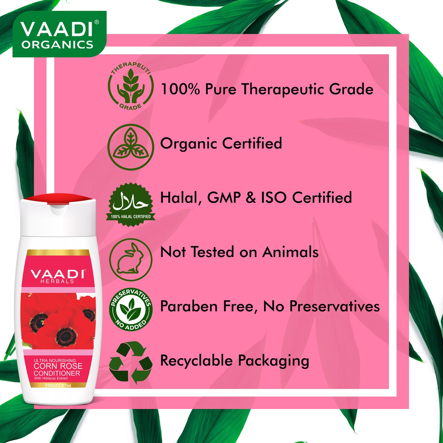 Hairfall & Damage Control Organic Shampoo (Indian Gooseberry Extract) Rich Corn Rose Conditioner with Hibiscus Extract (2 x 110 ml / 4 fl oz)