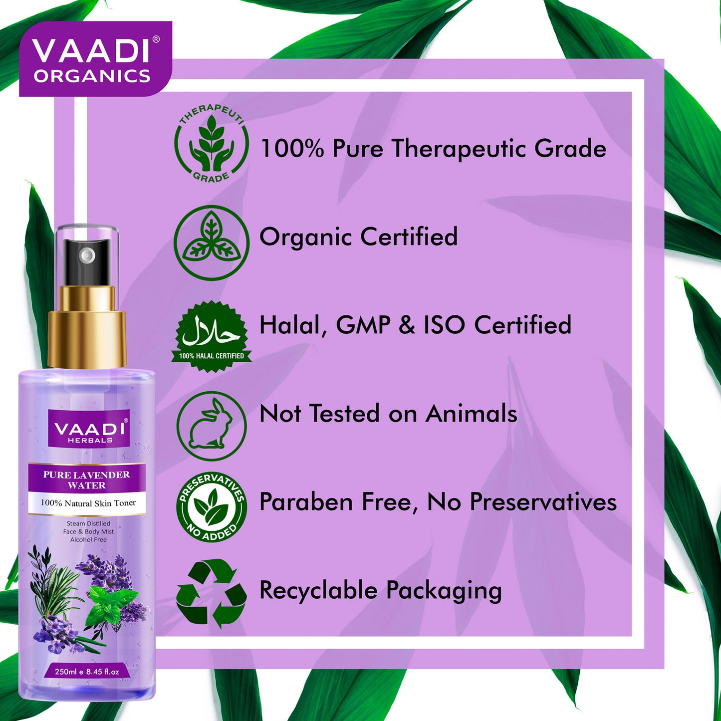 Lavender Water -100% Natural & Pure Skin Toner (250 ml / 8.5 fl oz )