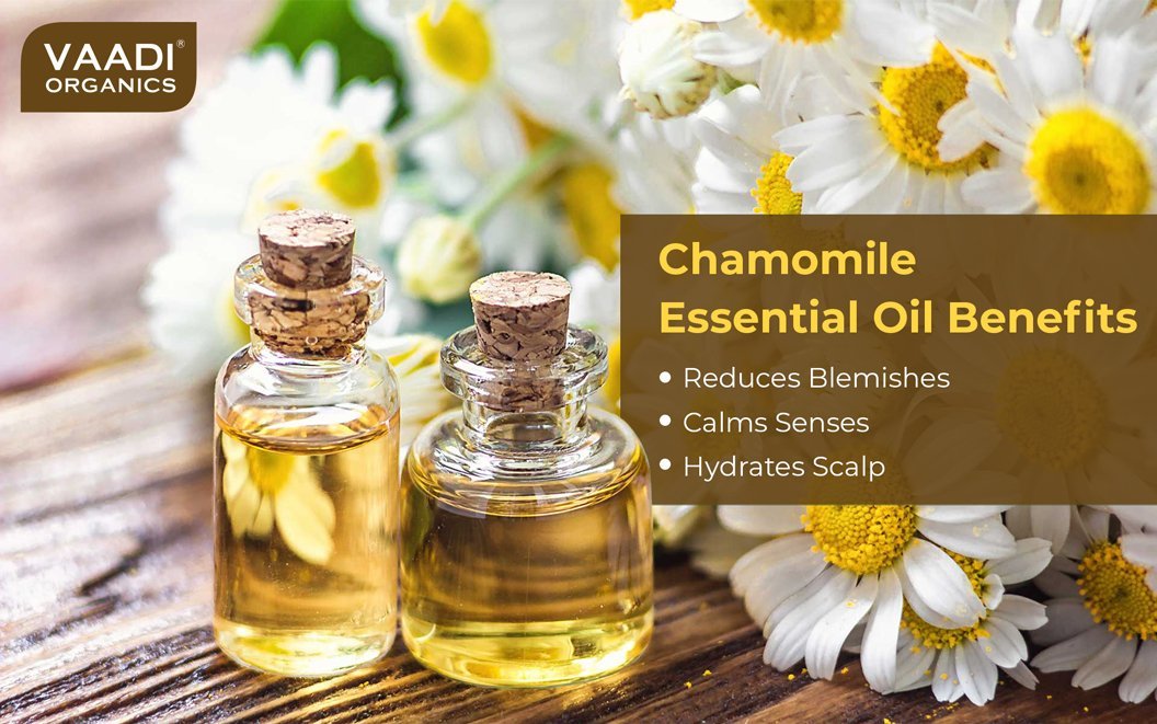 Organic Chamomile Essential Oil - Reduces Blemishes, Evens Skin Tone - Relieves Stress, Better Sleep - 100% Pure Therapeutic Grade (10 ml/ 0.33 oz)