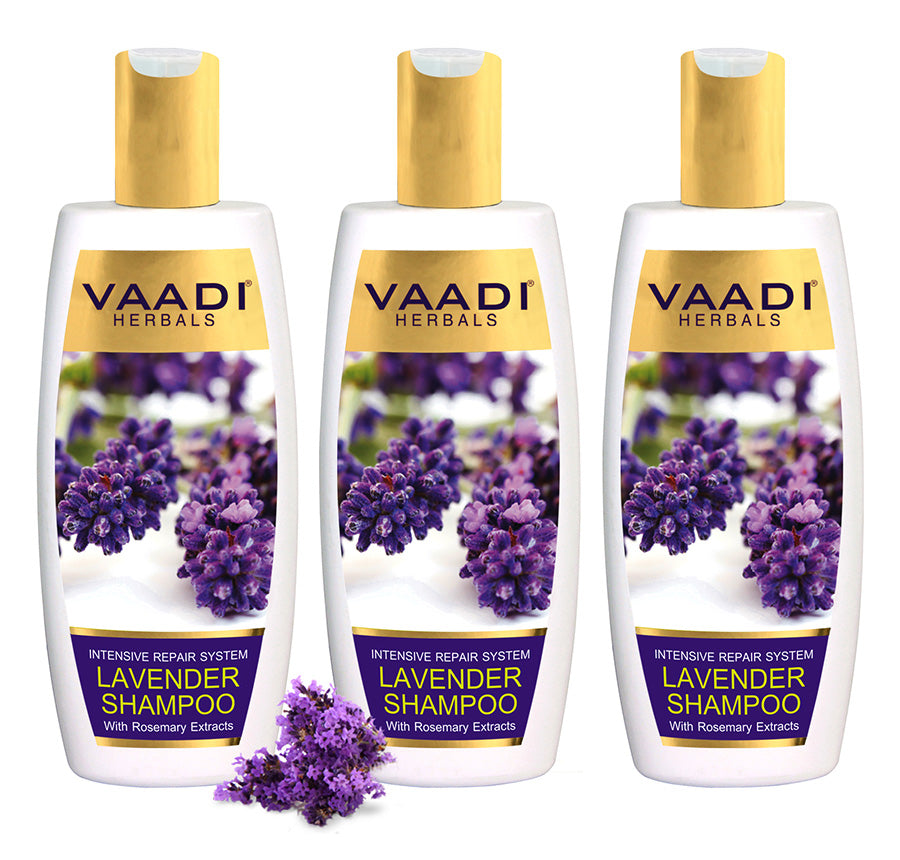 Intensive Repair Organic Lavender Shampoo with Rosemary Extract- Improves Hair Growth - Ultra Nourishing (3 x 350 ml/ 12 fl oz)