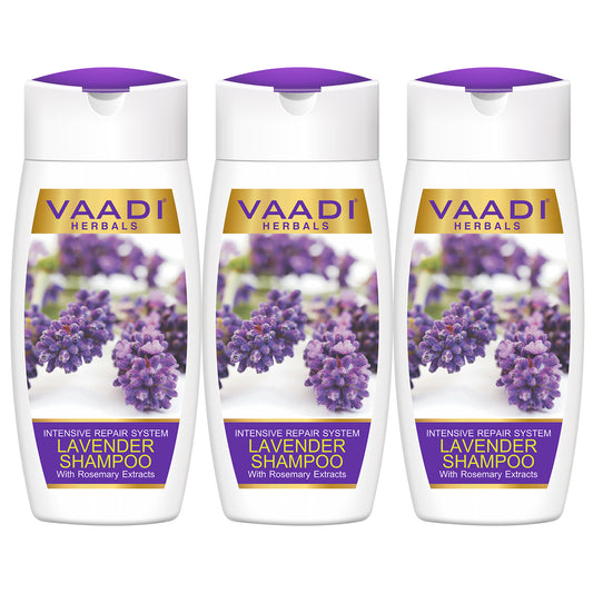 Intensive Repair Organic Lavender Shampoo with Rosemary Extract- Improves Hair Growth - Ultra Nourishing (3 x 110 ml/ 4 fl oz)