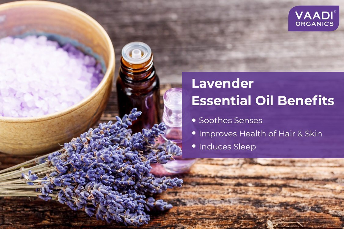 Organic Lavender Essential Oil - Prevents Hairfall, Relieves Stress, Soothes Skin - 100% Pure Therapeutic Grade (10 ml/ 0.33 oz)