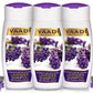 Intensive Repair Organic Lavender Shampoo with Rosemary Extract- Improves Hair Growth - Ultra Nourishing (3 x 110 ml/ 4 fl oz)