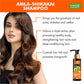 Hairfall & Damage Control Organic Shampoo (Indian Gooseberry Extract) - Promotes Hair Growth - Adds Shine to Hair (3 x 110 ml/4 fl oz)