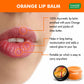 Skin Renewing Organic Orange and Shea Butter Lip Balm (8 x 6 gms/0.25 oz)