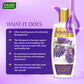 Intensive Repair Organic Lavender Shampoo with Rosemary Extract - Ultra Nutrient Rich Corn Rose Conditioner ( 2 x 350 ml/ 12 fl oz)