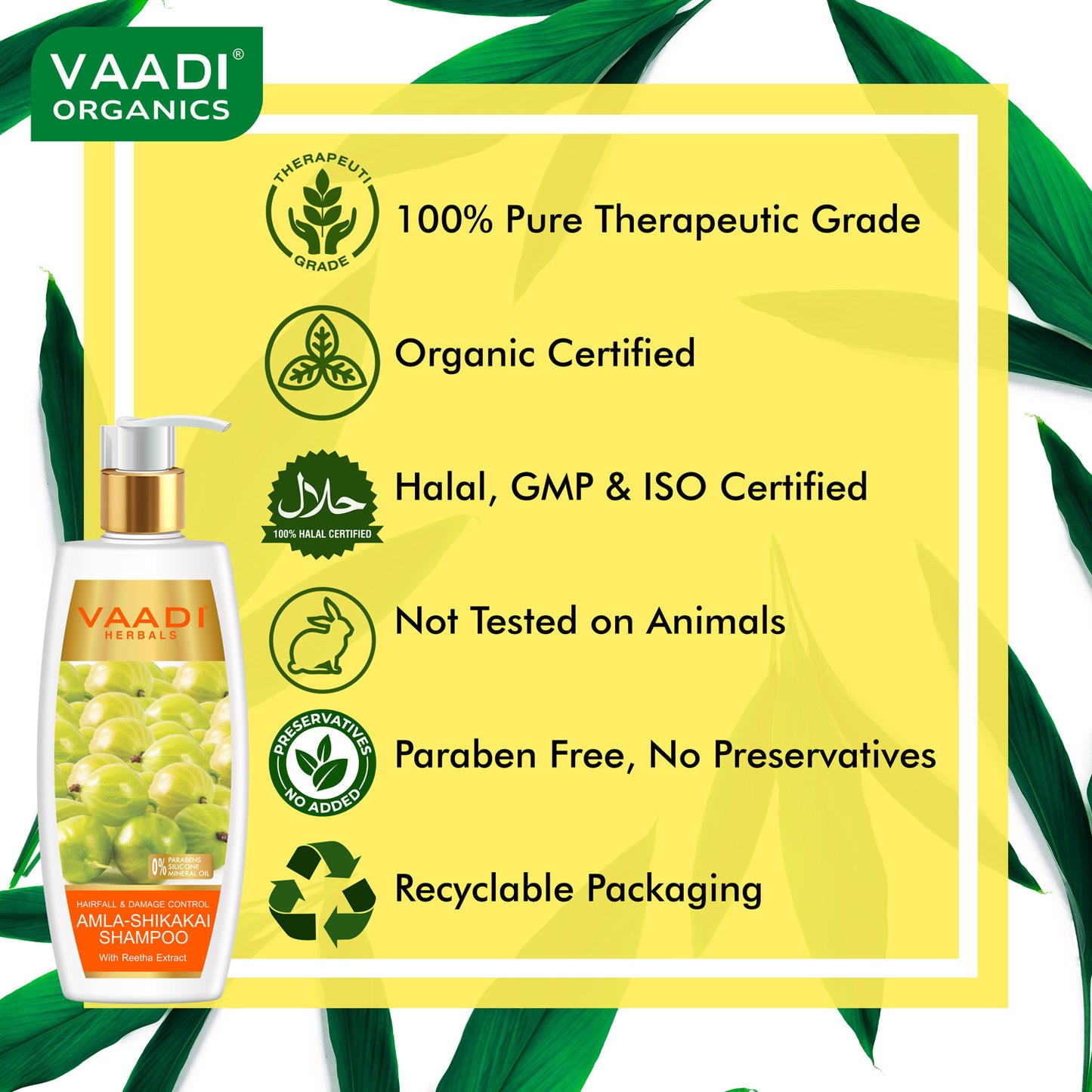 Hairfall & Damage Control Organic Shampoo (Indian Gooseberry Extract) Rich Olive Conditioner with Avocado Extract (2 x 350 ml/ 12 fl oz)
