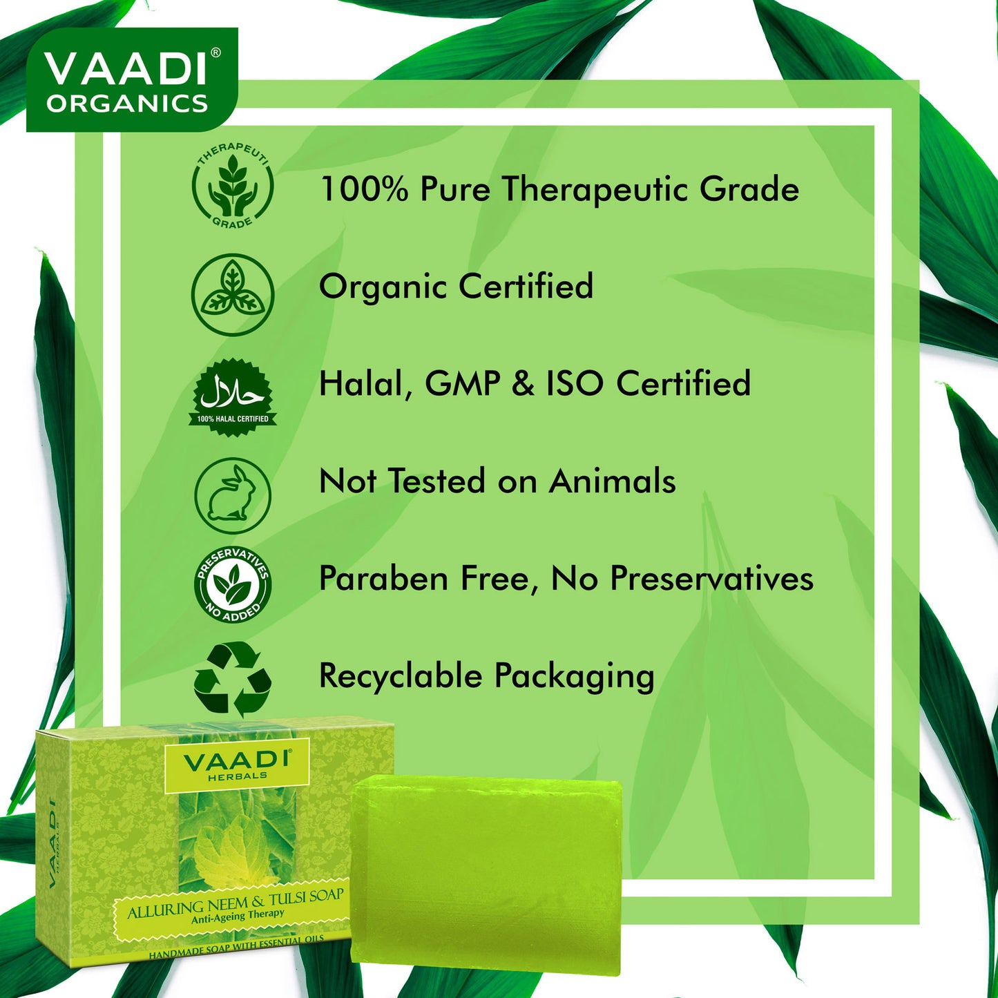 Organic Neem Patti Soap with Pure Neem Leaves - Detoxifies Skin - Prevents Skin Breakouts (12 x 75 gms / 2.7 oz)