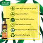 Hairfall & Damage Control Organic Shampoo (Indian Gooseberry Extract) - Promotes Hair Growth - Adds Shine to Hair (3 x 110 ml/4 fl oz)