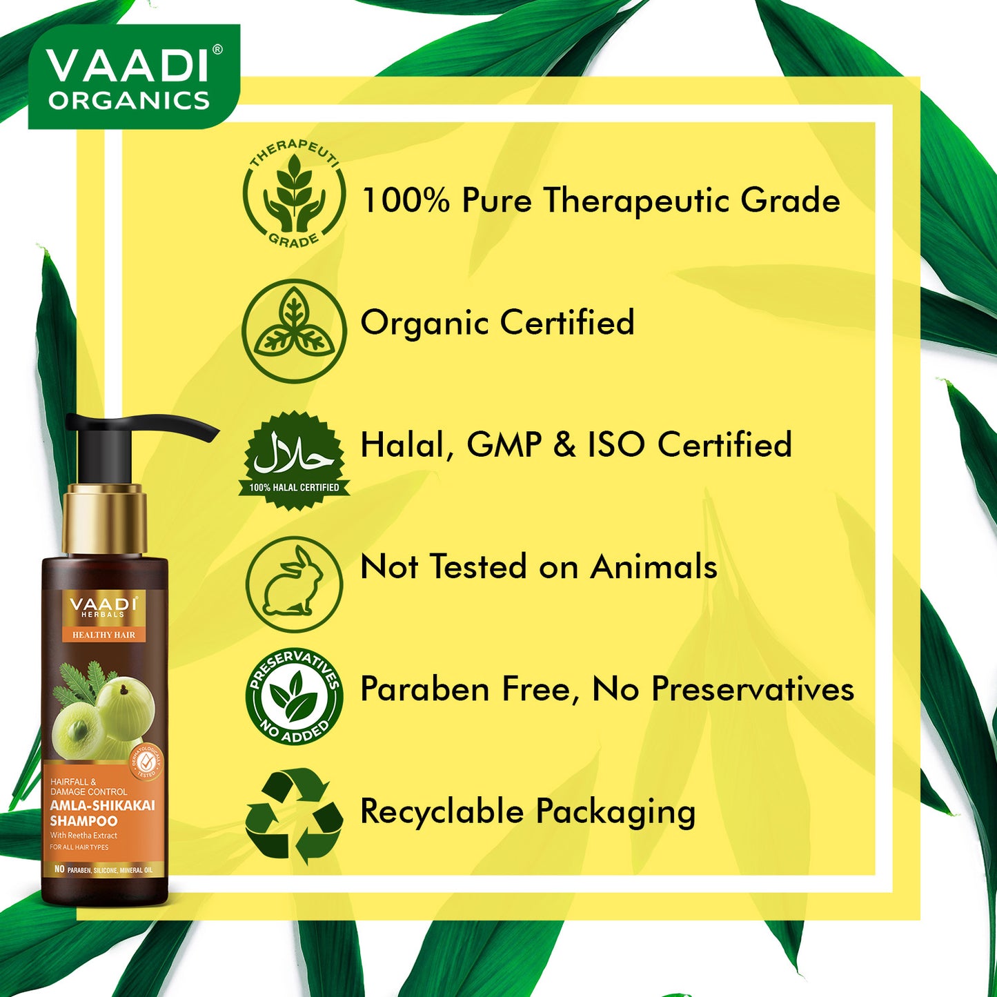 Hairfall & Damage Control Organic Shampoo (Indian Gooseberry Extract) - Promotes Hair Growth - Adds Shine to Hair (3 x 110 ml/4 fl oz)