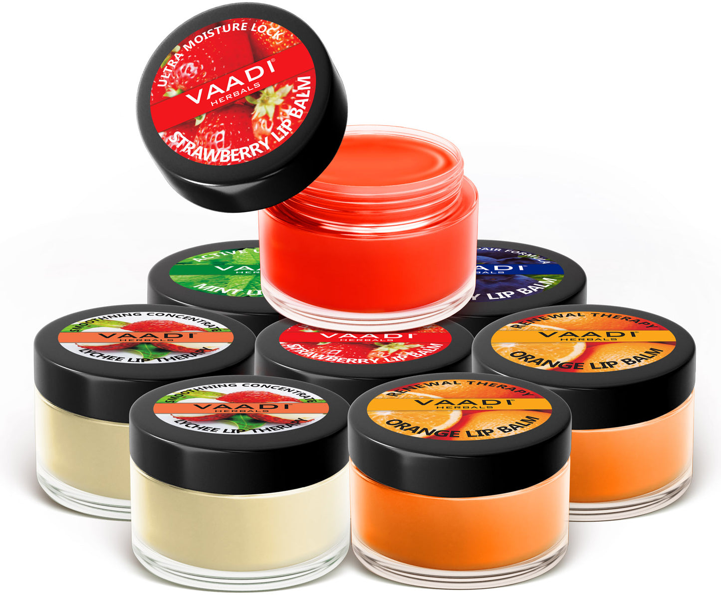 Assorted Organic Lip Balms - Ultra Moisturizing Shea Butter Lip Balms (8 x 10 gms/0.4 oz)
