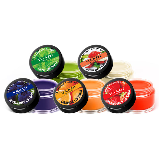 Assorted Organic Lip Balms - Ultra Moisturizing Shea Butter Lip Balms (5 x 10 gms/0.4 oz)
