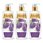 Intensive Repair Organic Lavender Shampoo with Rosemary Extract- Improves Hair Growth - Ultra Nourishing (3 x 350 ml/ 12 fl oz)
