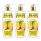Dandruff Defense Organic Lemon Shampoo with Tea Tree Extract - Disinfects Scalp - Prevents Hairfall (3 x 350 ml/ 12 fl oz)