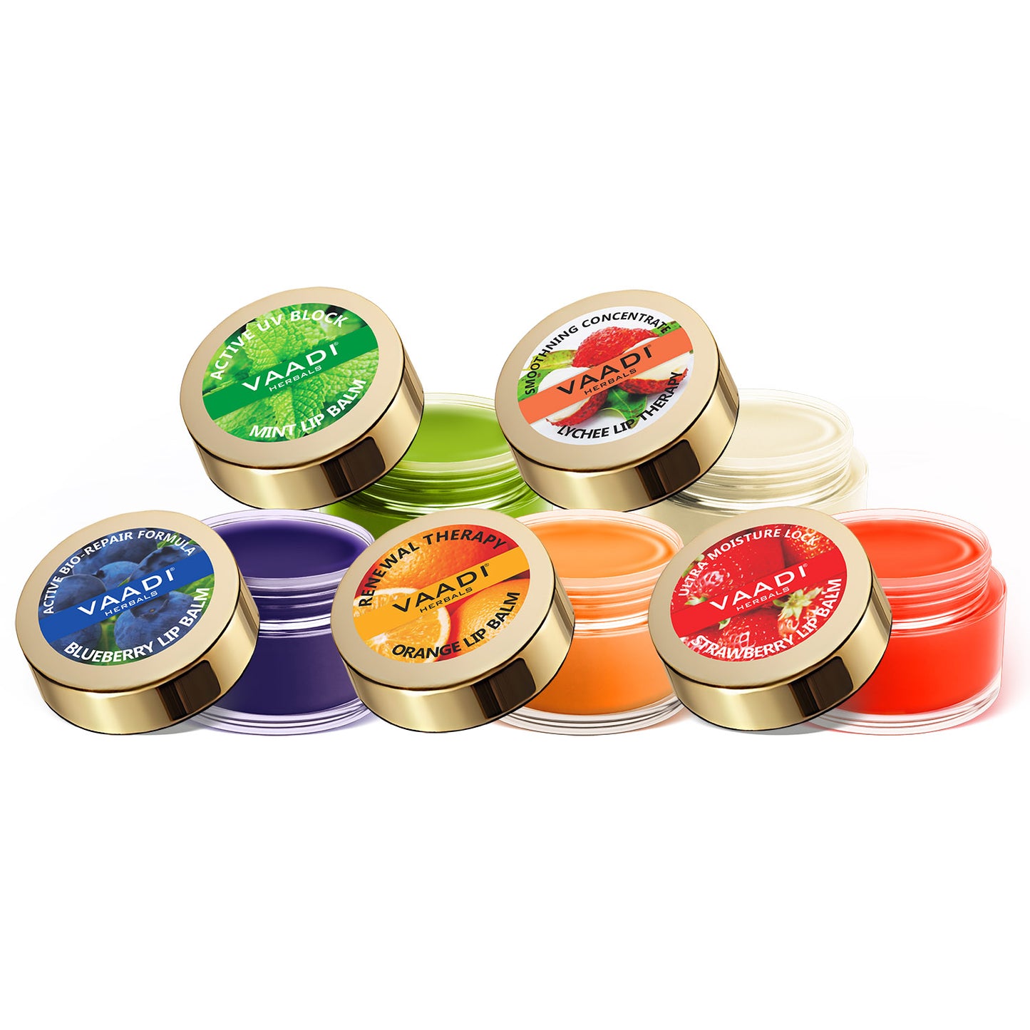 Assorted Organic Lip Balms - Ultra Moisturizing Shea Butter Lip Balms (5 x 10 gms/0.4 oz)