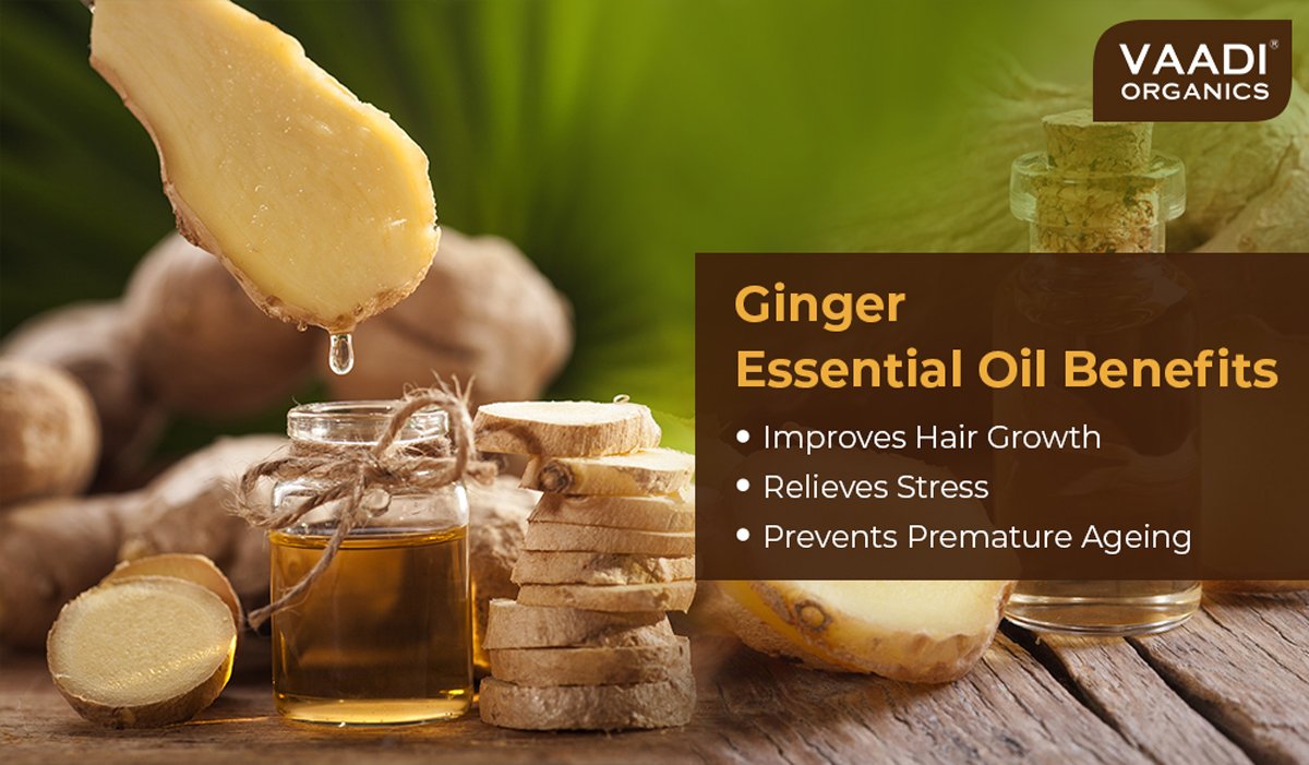 Organic Ginger Essential Oil - Tones Skin, Prevents Hairfall, Soothing Woody Aroma - 100% Pure Therapeutic Grade (10 ml/ 0.33 oz)