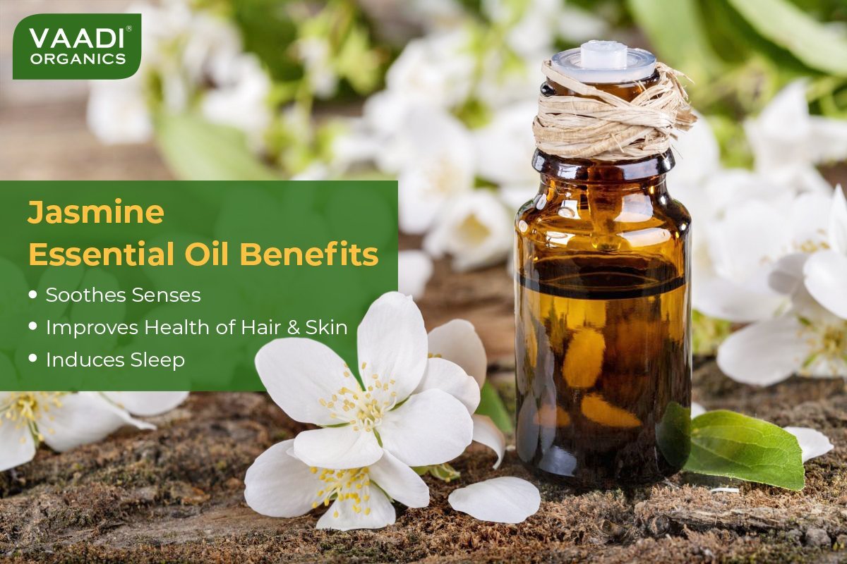 Organic Jasmine Essential Oil - Nourishes Dry & Damaged Hair, Improves Sleep, Uplifts Mood, Reduces Acne & Blemishes (10 ml/ 0.33 oz)