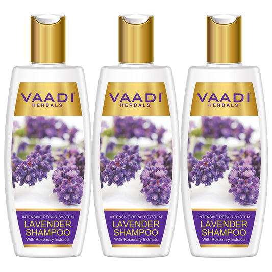 Intensive Repair Organic Lavender Shampoo with Rosemary Extract- Improves Hair Growth - Ultra Nourishing (3 x 350 ml/ 12 fl oz)
