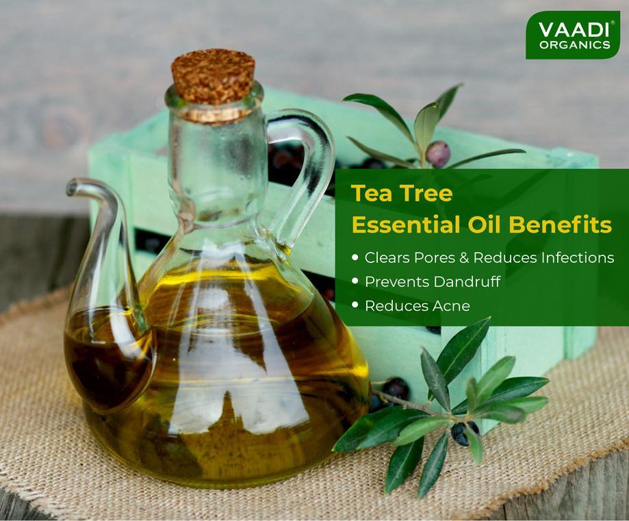 Organic Tea Tree Essential Oil - Reduces Acne, Prevents Dandruff & Hairfall (10 ml/ 0.33 oz)